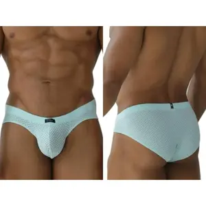 Microfiber Mesh Briefs