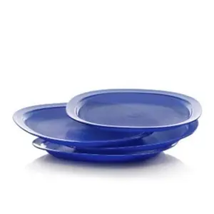 Reheatable Luncheon Plates