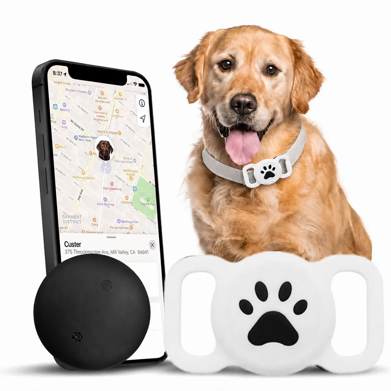 Smart Pet Tracker for Dogs & Cats, Bluetooth Location Tracker with Collar Holder, No Monthly Fee or SIM Card, Compatible with iOS & Android, Ultra Slim Design, IP68 Waterproof Case for Pet Tracking