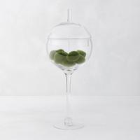 Transparent-Small-20.5''H