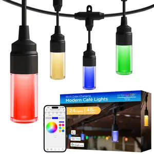 Enbrighten VIBE WiFi Modern Color-Changing LED Cafe Lights, 24 Bulbs, 48ft. Black Cord