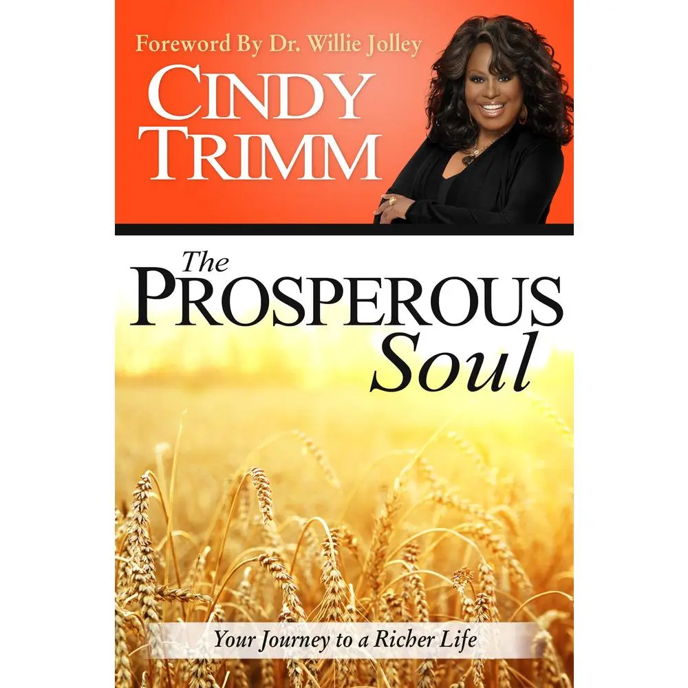 USED-The Prosperous Soul: Your Journey to a Richer Life by Trimm, Cindy (Paperback)