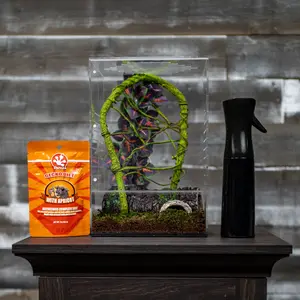 Crested Gecko Hatchling Complete Starter Kit