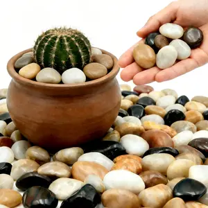 Polished River Rocks 1-2 Inch, Decorative Stones for Indoor Plants, Vase Filler, Fish Tank Aquarium Decor, Garden Landscaping, Mixed, 6LB