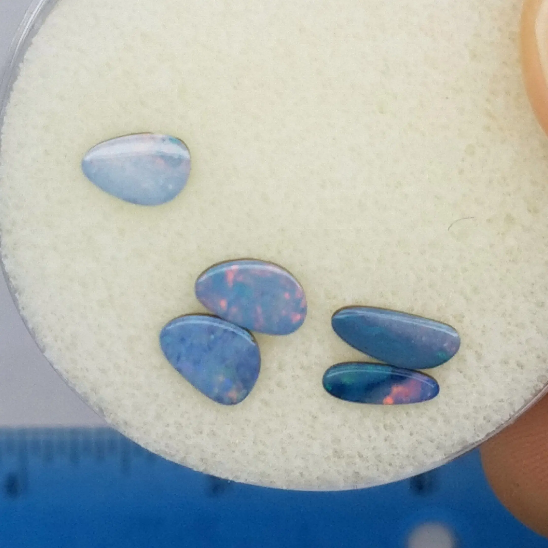 Opal Cabochons – 5 Piece Wholesale