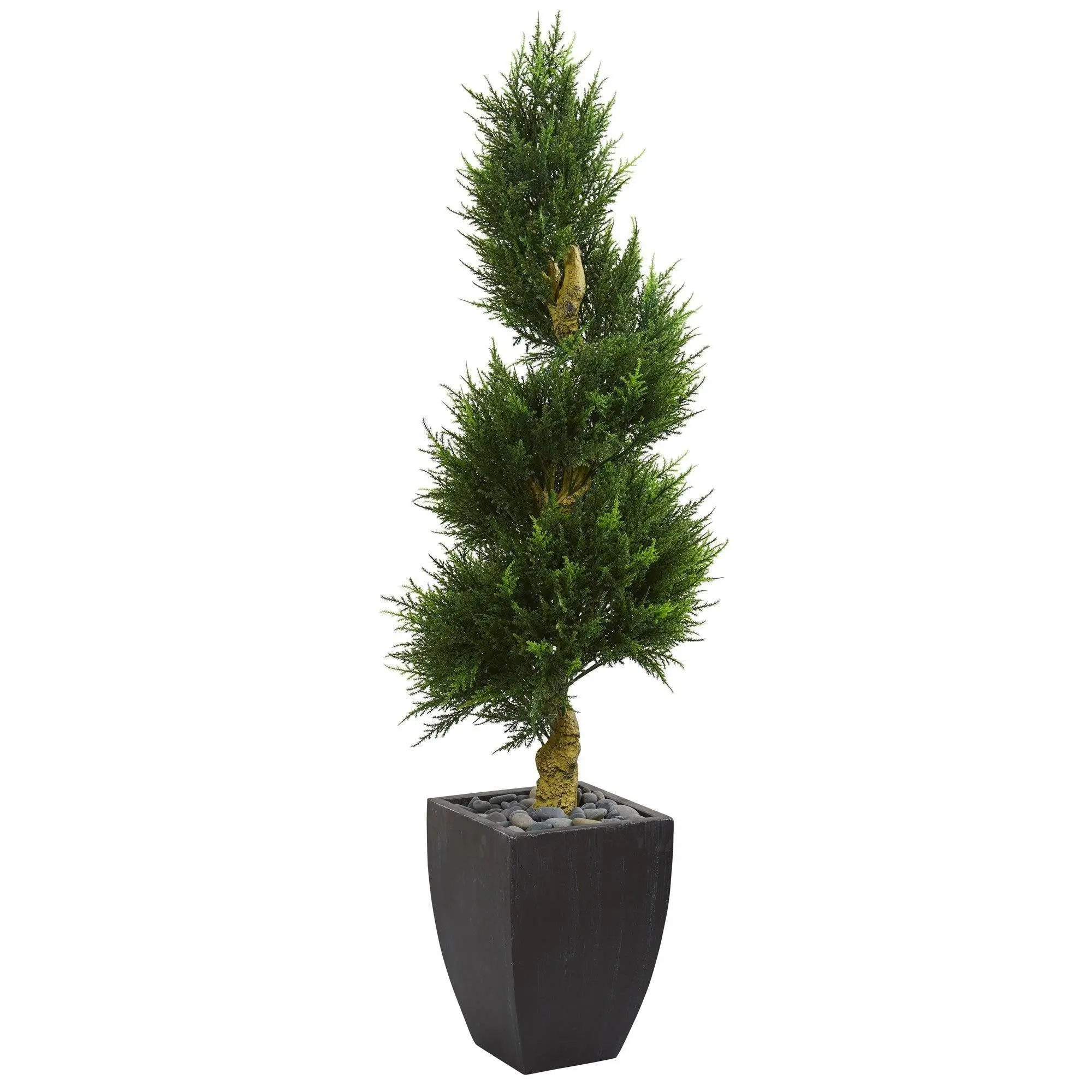 5.5’ Lifelike Trunk Cypress Spiral Artificial Tree, Indoor-Outdoor Decor, Botanical Aesthetic Accent for Entryway, in Black Wash Planter