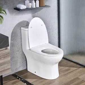 VEVOR One-Piece Toilet, Elongated Toilet Vortex Dual-Flush 1.0/1.28 GPF, Toilets for Bathroom with Comfortable Chair Seat, Standard Height, 12 inch Rough-In, White + Silver, Easy-Clean Skirted Design