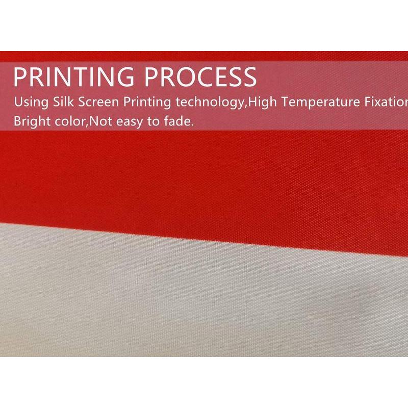 Mexican flag tapestry for indoor and outdoor decoration