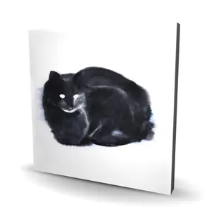 212 MAIN Artistic Abstract Watercolor Cat Wall Photo Print - 36x36 in Black Artwork, Home & Room Wall Display Decoration