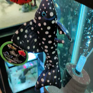 Vampire Pleco Plush