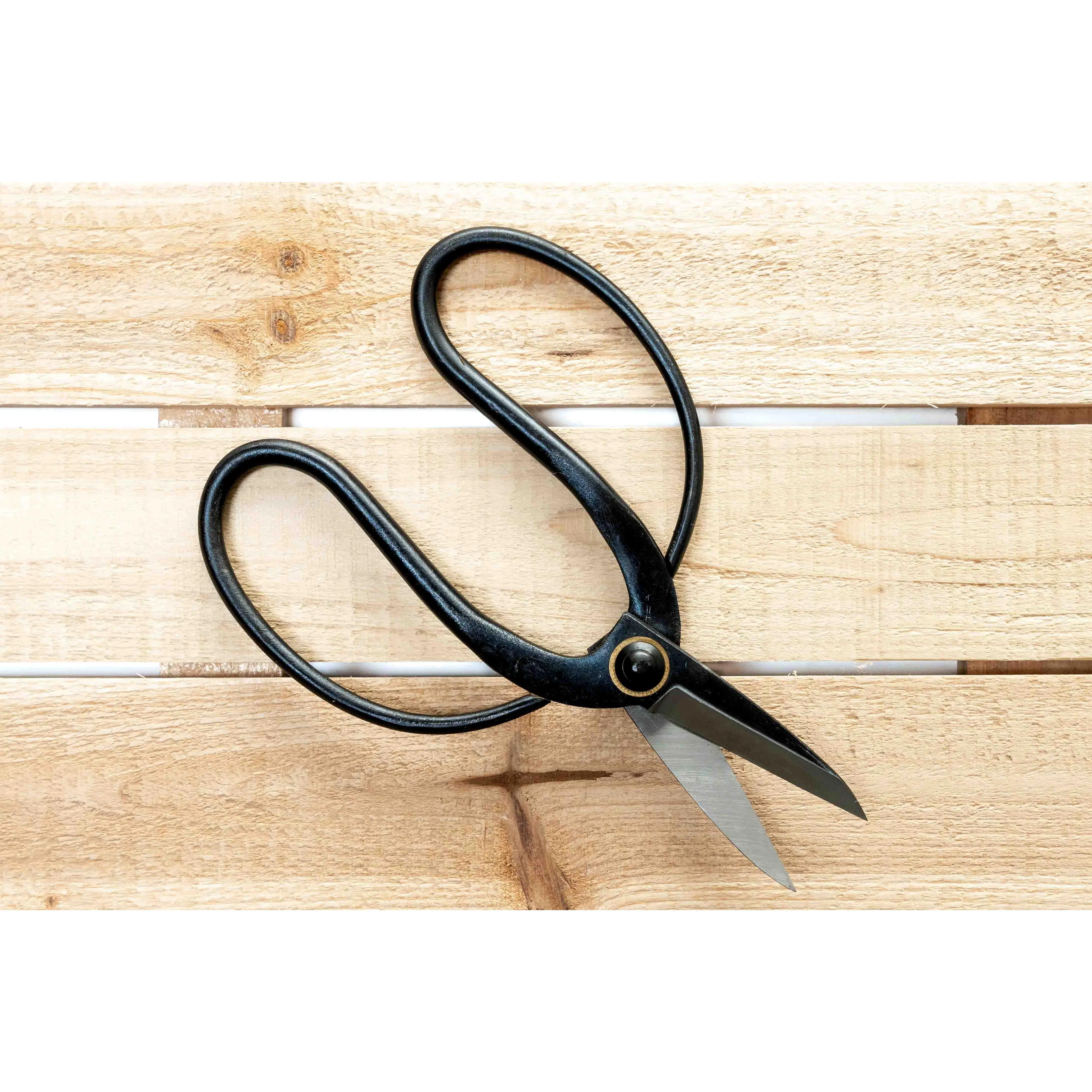 Bonsai-Style Pruning Scissors for Tillandsia Air Plants