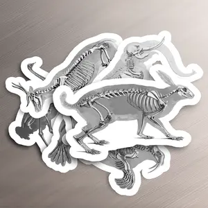5 Pack Animal Bones Sticker
