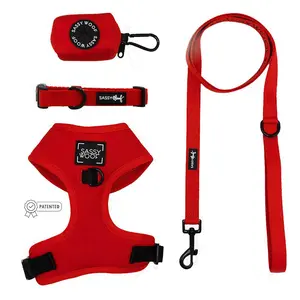 Dog Bundle - Neon Red