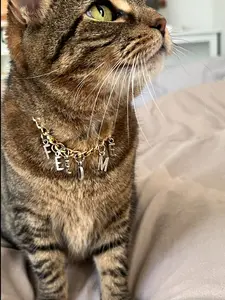 Pet Collar - "FEED ME" - double gold chain and silver letters - custom length - breakaway safety clasp