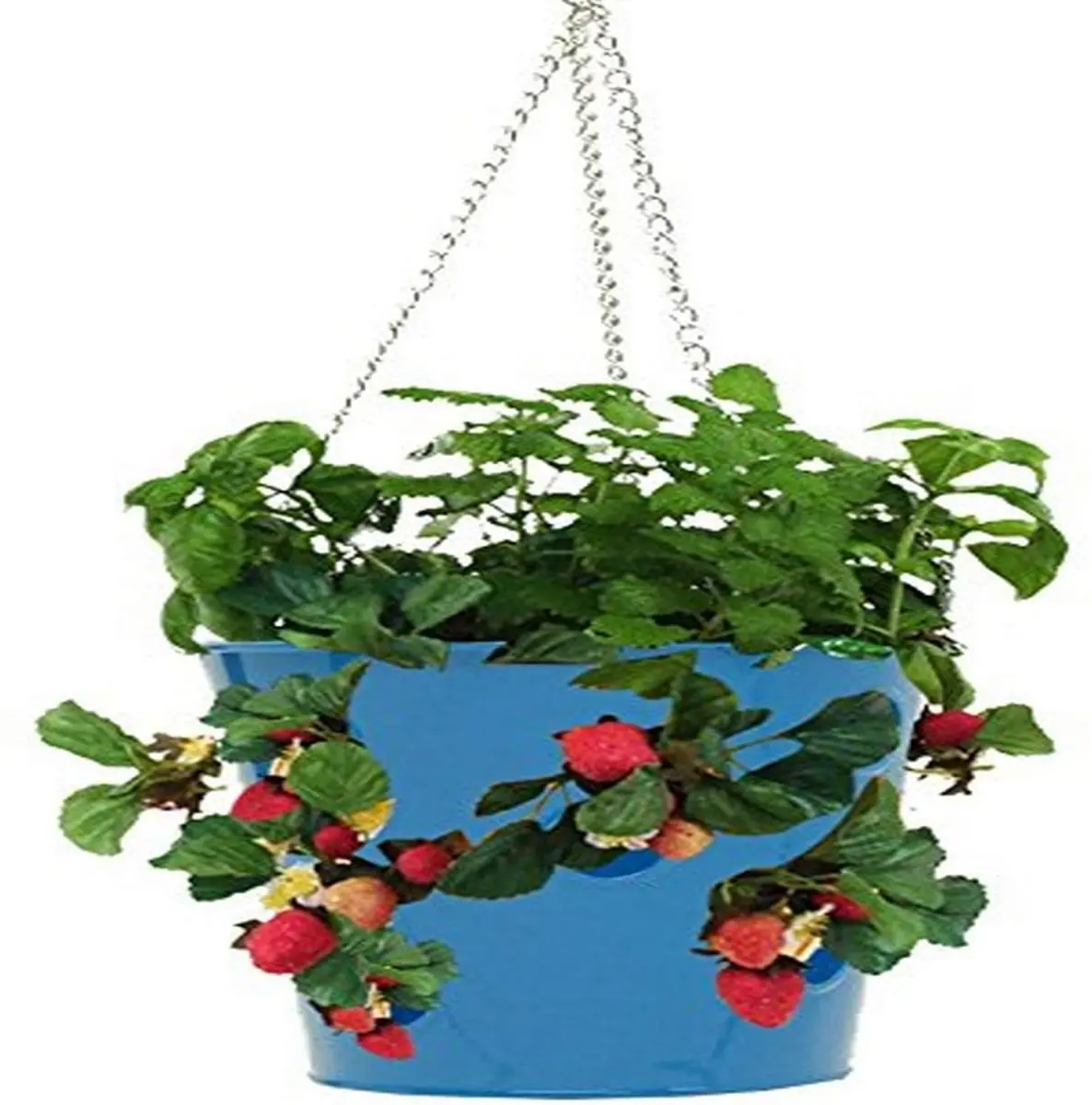 8396E-B S-2 Enameled Galvanized Steel Strawberry, Herb & Floral Hanging Planter, Blue - Set of 2