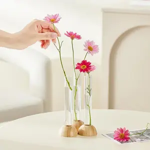 Dracaena sanderiana vase decoration Hydroponics rose lily flower arrangement dried bamboo seat sitting room large transparent office decoration