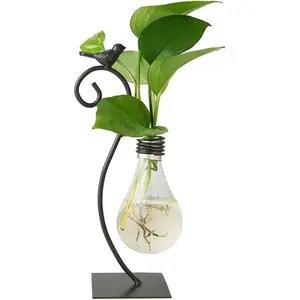 Desktop Glass Planter Hydroponics Vase with Bird Design for Home Decoration Modern Creative Terrarium Stand Scindapsus Container Bulb Vase