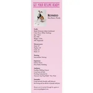 USED-How to Become a Top Dog Model: Featuring America's Top Dog Models ® by Jo Jo Harder (Paperback)