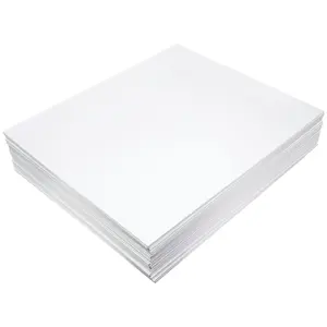Bienfang Foam Board (3/16")