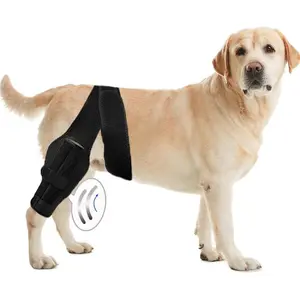 Support Bar, Rehab Training Belt Protective Gear for Leg Injury or Pain for All Breed Dogs