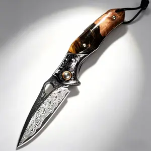 Kitchen-specific small knife made of Damascus steel — multifunctional folding fruit knife, sharp and durable, includes a genuine leather sheath