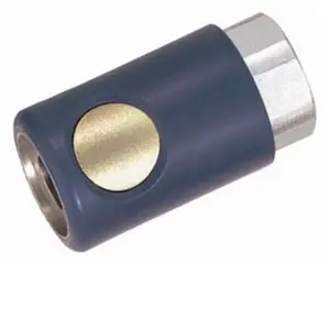 Prevost PRVARC061201 Coupler 0.25 Inch Female NPT Gold F-MIL777