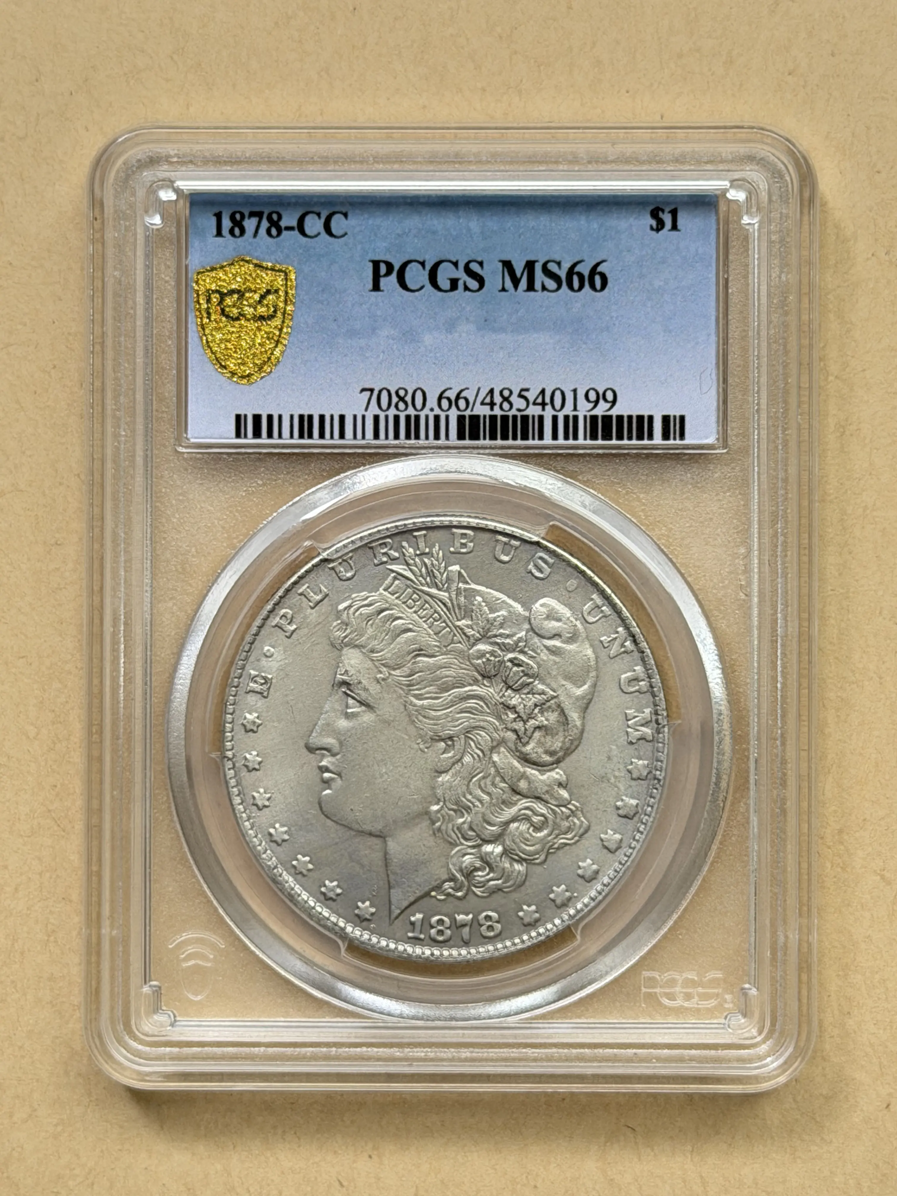 Antique 1878-CC San Francisco Silver ArtifactWith Authentic Protective Display Shell
