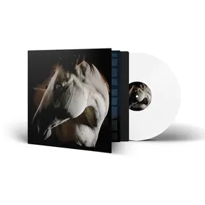 Brother Dege - How To Kill A Horse  [VINYL RECORD - LP] Colored Vinyl, Gatefold LP Jacket, White