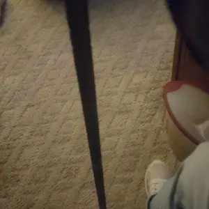 7-in-1 Tactical Trekking Stick-Retractable Folding Multi-Function,Tinder,Compass,SawBlade, Screwdriver & Pliers -Premium Outdoor Survival Gearfor Hiking. tactical hiking sticktrek pole Travel AccessoriesCamping Supplies