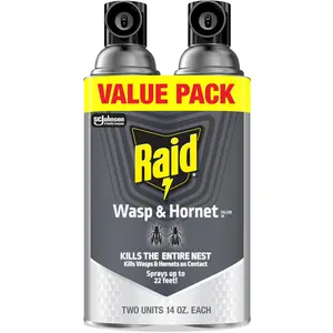 Raid Wasp & Hornet Killer Spray, Bug Killer Kills the Entire Nest, 14 Oz, 2 Count