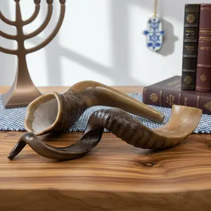 Authentic Yemeni Kudu Shofar — Large Polished Resin Spiral Horn(Not to be played) — Traditional kosher decorations used for Jewish New Year and Yom Kippur. — Magnificent Biblical Horn — Unique Spiritual Gift and Tribal-Style Home Decor