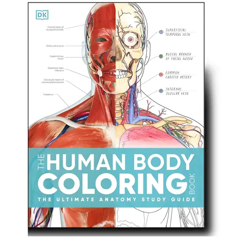 DK The Human Body Coloring Book: 2nd Edition Collector’s Ed. Paperback Anatomy Study Guide, Stress-Free Beginner’s Resource with Crossref Navigation, 264-Page Black and White English Book for Wrist/Foot Detail Learning, Unique Gift