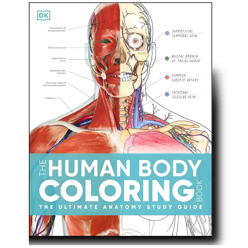 DK The Human Body Coloring Book: 2nd Edition Collector’s Ed. Paperback Anatomy Study Guide, Stress-Free Beginner’s Resource with Crossref Navigation, 264-Page Black and White English Book for Wrist/Foot Detail Learning, Unique Gift