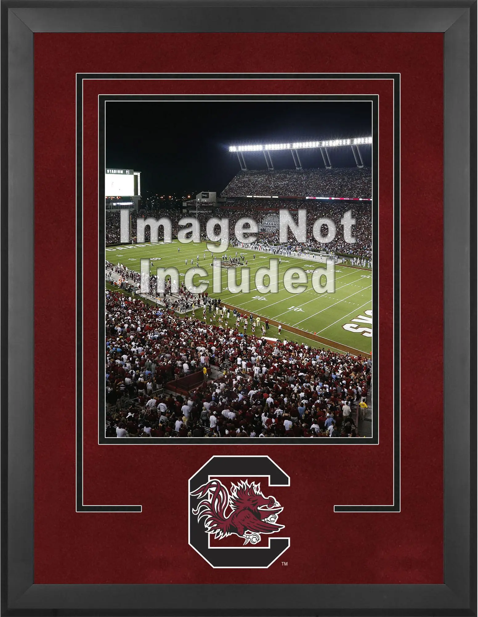 South Carolina Gamecocks Deluxe 16" x 20" Vertical Photograph Frame with Team Logo