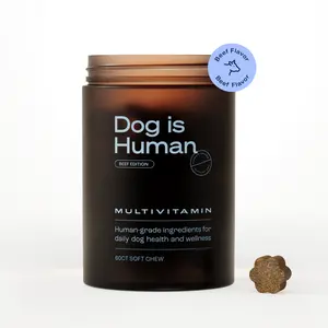 Dog is Human Daily Multivitamin for Dogs (Beef Flavor) Vet-formulated, Made in Vermont
