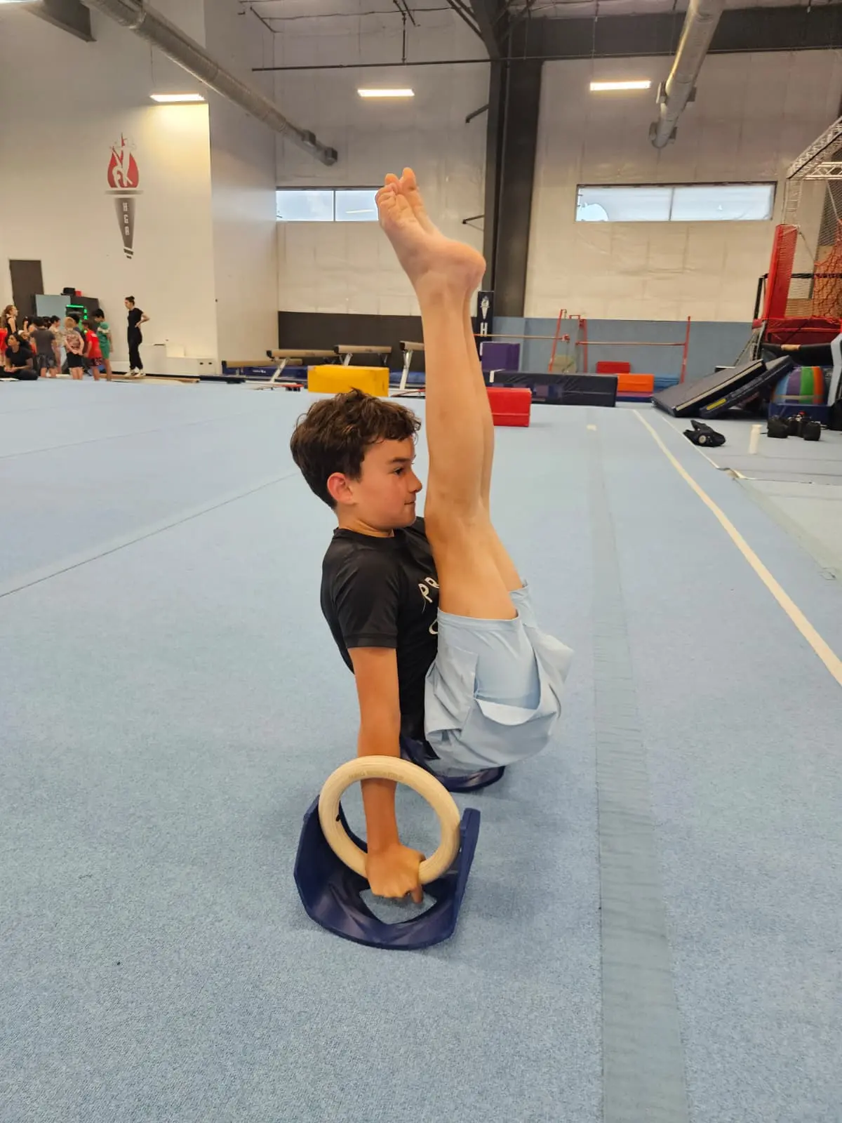 Real Wood Olympic Dimensions Gymnastics Rings for Calisthenics, Athletes & Fitness Enthusiasts - Real Ring Rockers with Free-Rotating System for Muscle-Ups, Levers