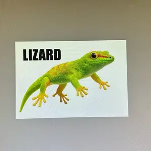 TIKTOK EXCLUSIVE! Lizard Sticker - multi use for cars, water bottles, windows, and more!