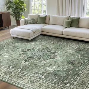 BESTSWEETIE Washable Rugs for Living Room Area Boho Rugs Floor Carpet Doormat Vintage Runner Rug for Bedroom Indoor Dinning Room Nursery Large Rug