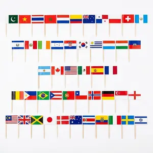 100Pcs 48 Country Toothpick Flags Cocktail Stick Flags for Cupcake Toppers, International Soccer Party Decorations, Bar Supplies, Flag