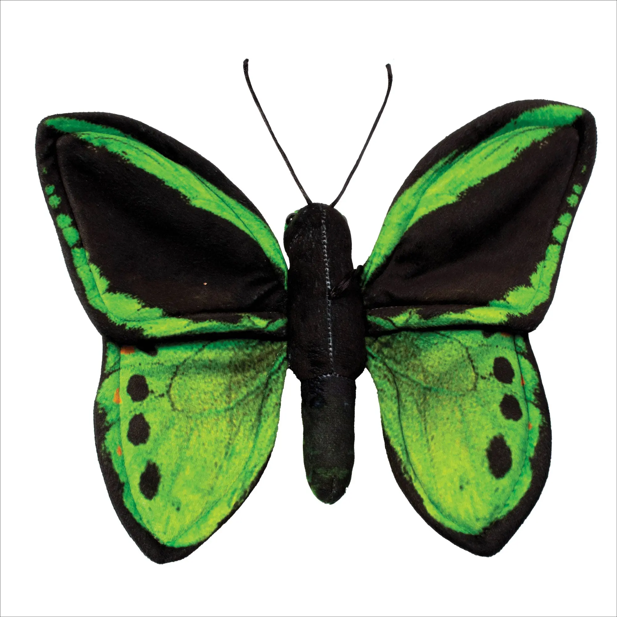 Real Planet™ Green & Black Butterfly Realistic Plush Stuffed Animal
