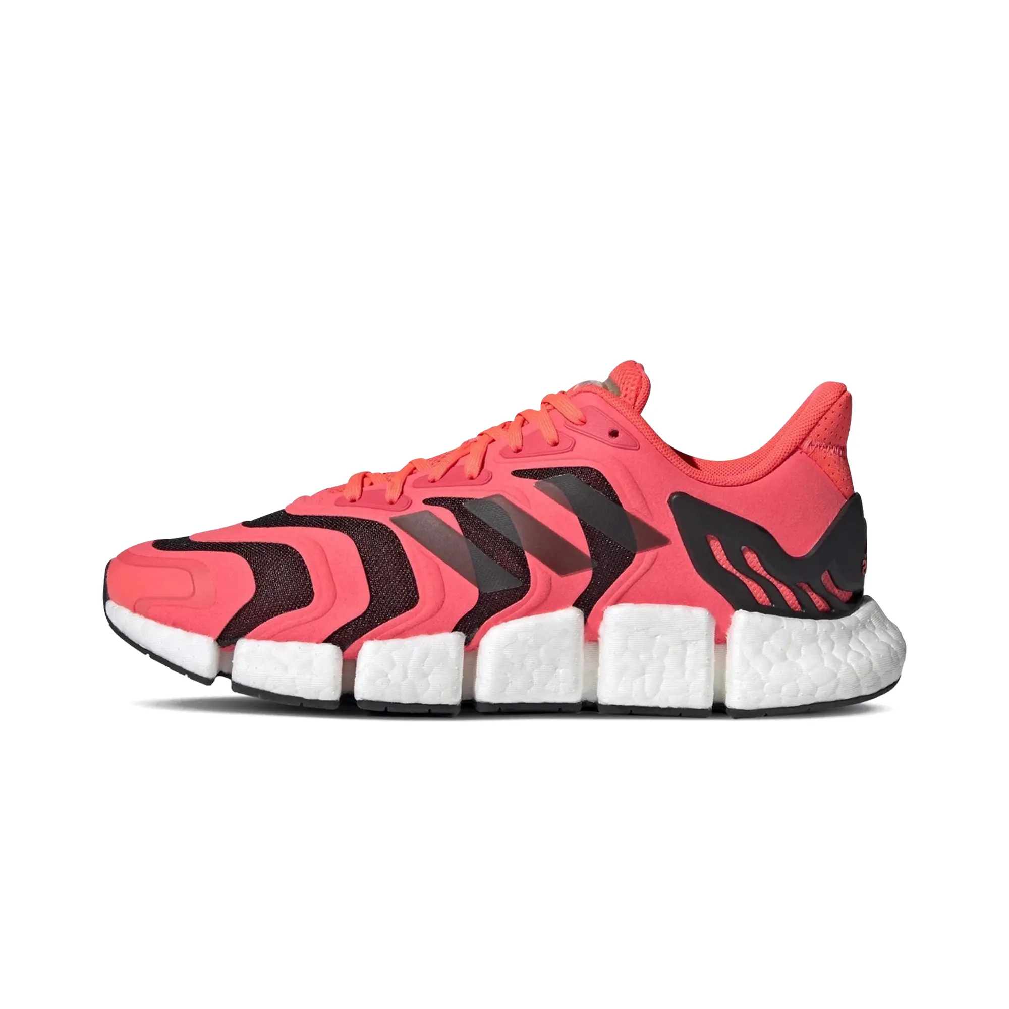 Climacool Vento "Signal Pink" FX7848