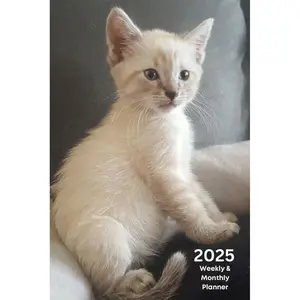 2025 Weekly & Monthly Planner: Ginger Kitten Cover Organizer Diary with Goal Setting and Gratitude Sections, Checklists, Trackers & more Paperback – October 11, 2024