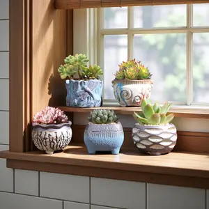 5-piece set of succulent ceramic flower pots, creative succulent plant combination set, breathable retro indoor small, simple coarse ceramic thumb pot, new wholesale, colorful thumb pot