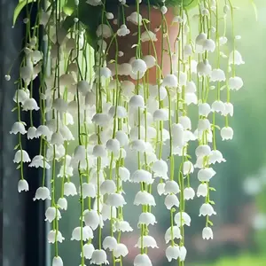 1000Pcs Campanula Seeds – Grow Stunning Bellflowers for Garden, Patio, and Home Decoration