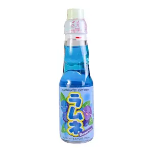 HATAKOSEN Japanese Ramune Soda - Blueberry Flavor, 200ml Bottle - Unique Marble Soda Drink