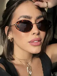 2026 New Model Retro Small Oval Frame Sunglasses, Vintage Trendy Sunglasses for Everyday Use, Fashion Accessories for Outdoor Activities