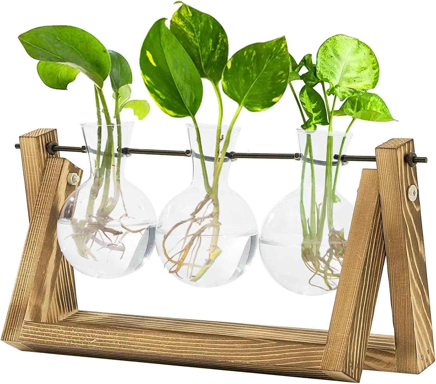 Vintage 3-Bulb Glass Hydroponic Planters with Natural Wood Stand, Heat-Resistant Metal Swivel Holder, Floral Ornament Vase Terrarium Propagation Tube for Home Decor, Nursery Photo Prop, Birthday Thanksgiving Mother's Day Gift
