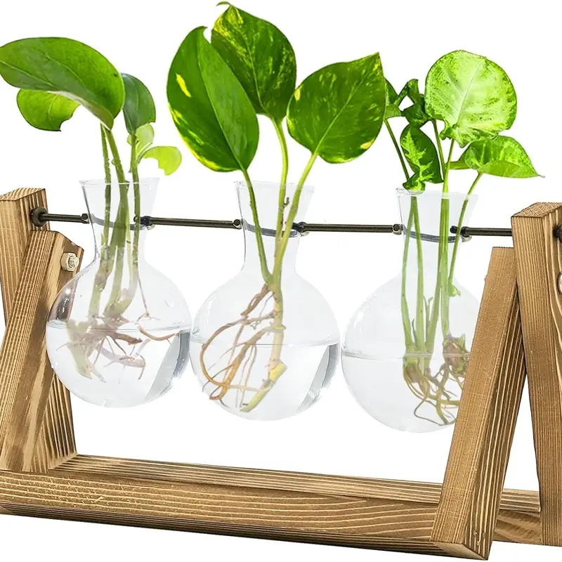 Vintage 3-Bulb Thick Glass Hydroponic Planters (5.5"h x 11"w x 4"d) with Natural Wood Stand, Heat-Resistant Metal Swivel Holder, Floral Vase, Propagation Box, Tools, Best Gifts for Plant Lovers, Home Decor, Birthday Gift