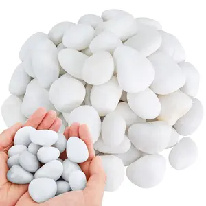 200/400g White High Polished Natural Pebbles 2-3cm Courtyard Landscape Decoration Rocks Peddles for Plant Vases Fish Tank Aquariums Horticultural Decorative Stones