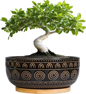 Ceramic Bonsai Pots - 8 Inch Plant Pot for Succulent, Round Planter for Indoor Plants, Shallow Planters with Drainage Hole and Tray, Boho Bonsai Bowl, Living Room Decor, Black